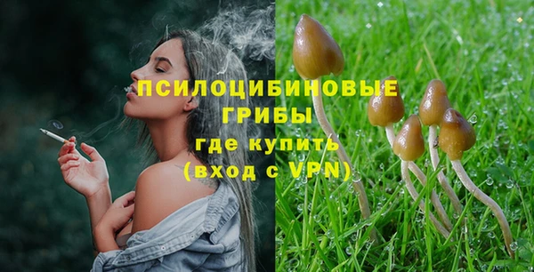 a pvp Алексеевка
