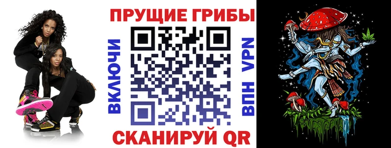 дарнет шоп  Сергач  omg онион  Галлюциногенные грибы Psilocybine cubensis 